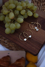 Učitajte sliku u preglednik galerije, Minđuše od hiruškog čelika - lamaryfashion