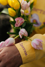 Učitajte sliku u preglednik galerije, Jednobojne košulje sa vezom - lamaryfashion
